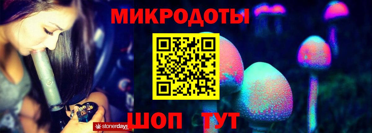 Псилоцибиновые грибы Psilocybine cubensis  Псилоцибиновые грибы прущие грибы  Вход с VPN  Зеленогорск 